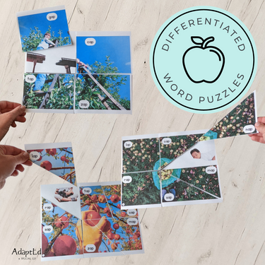 CVC Picture Puzzle Mats (-ap family words) Apple Themed - AdaptEd4SpecialEd